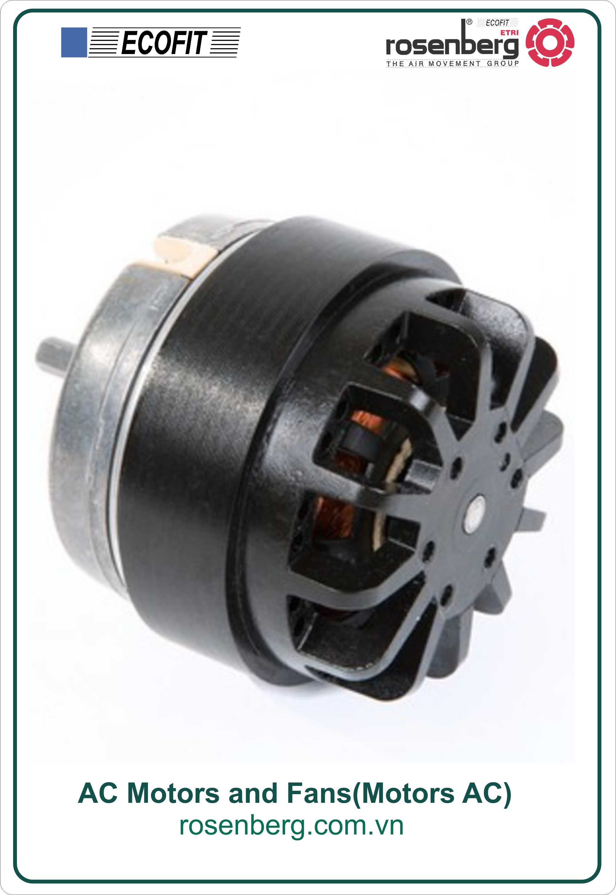 Motors AC Motors AC